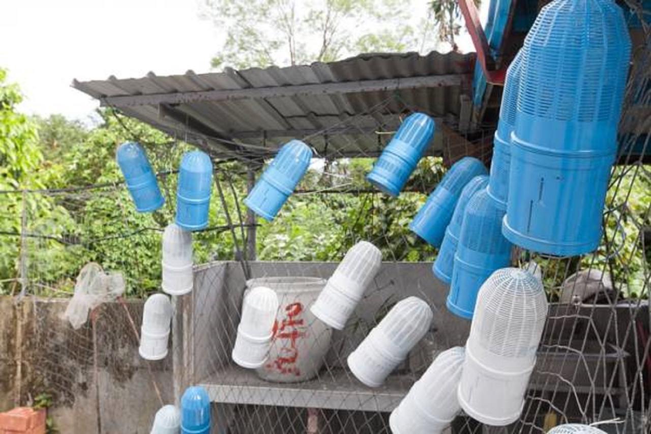 Da Nan Ao Homestay Suao Exterior foto